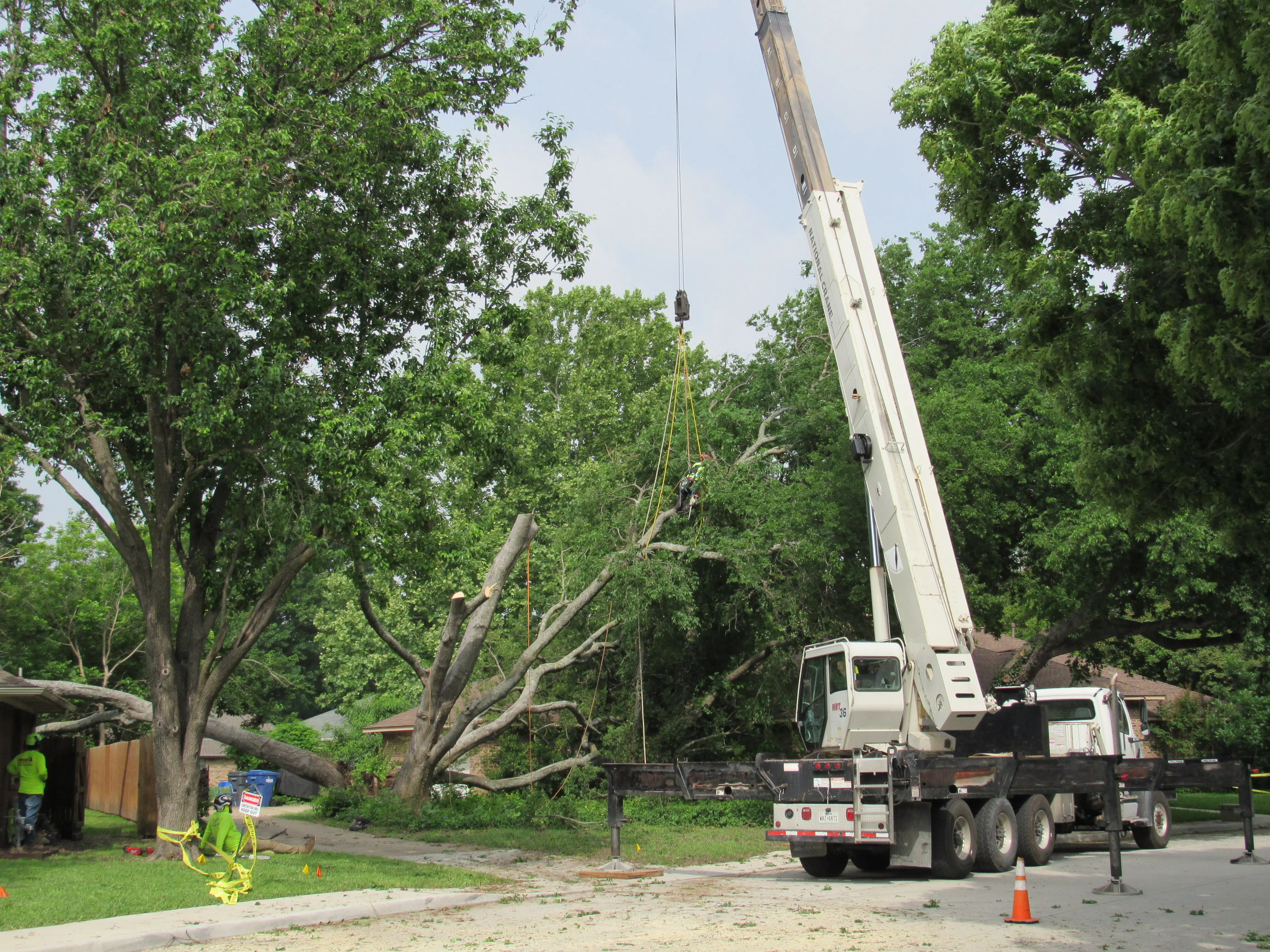 Crane lifting a large fallen tree leader off two homes during an emergency tree removal by Tree MD's in McKinney, TX