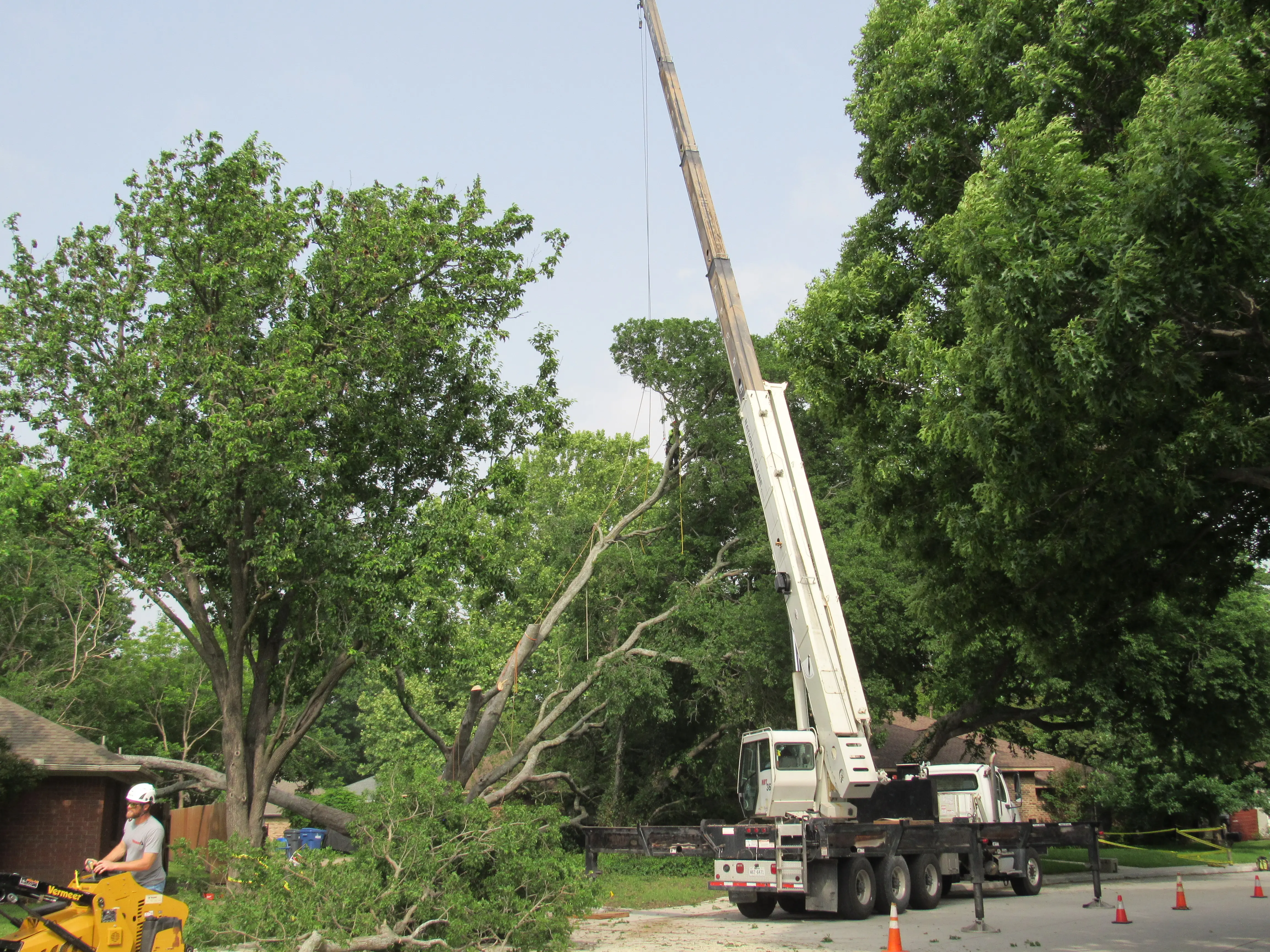 Wide view of a failed tree resting on a roof with a Tree MD's crane truck staged in the street in McKinney, TX