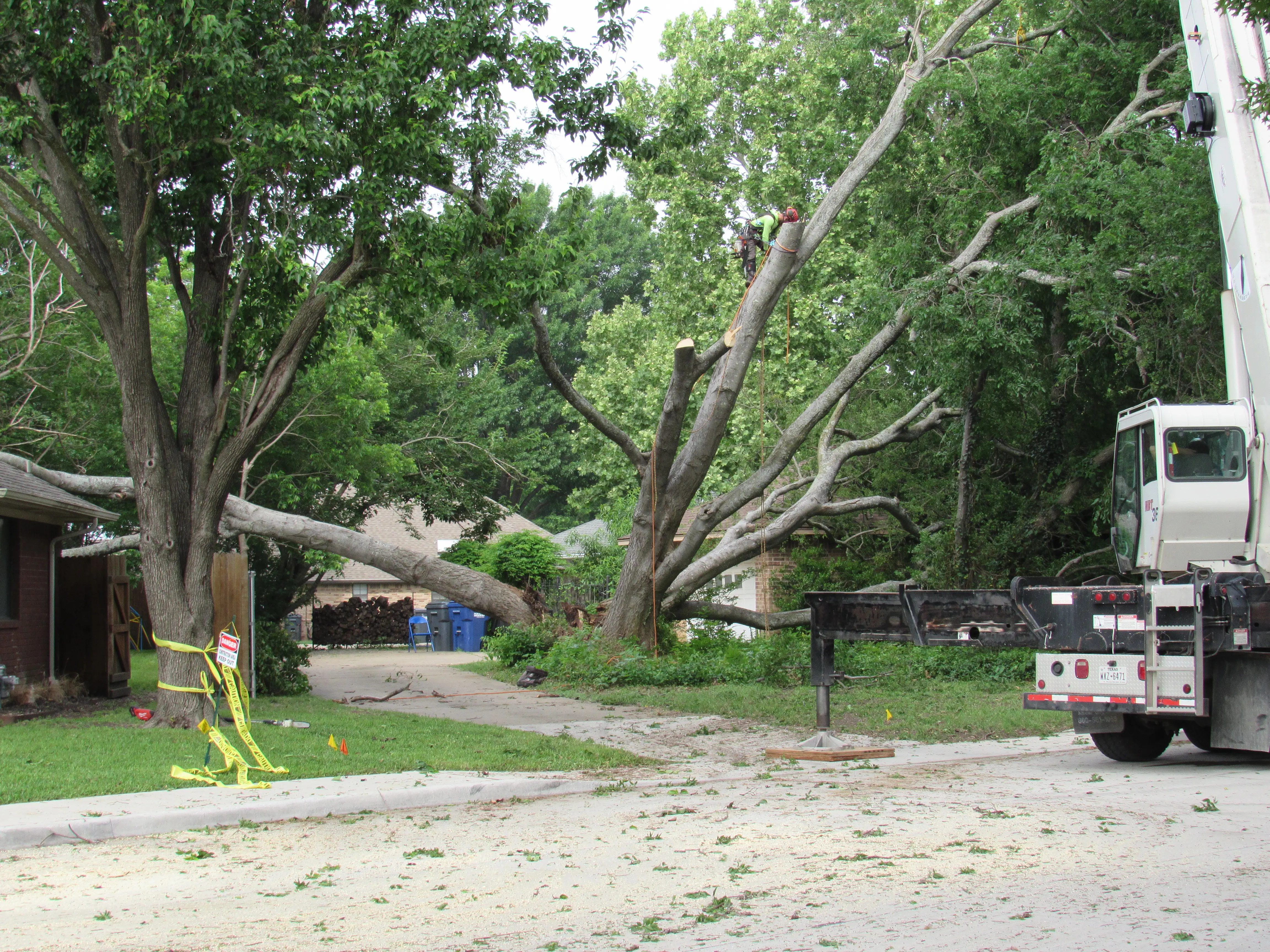 Tree MD's crane lifting a large rigged limb out of a residential yard during an emergency tree removal in McKinney, TX