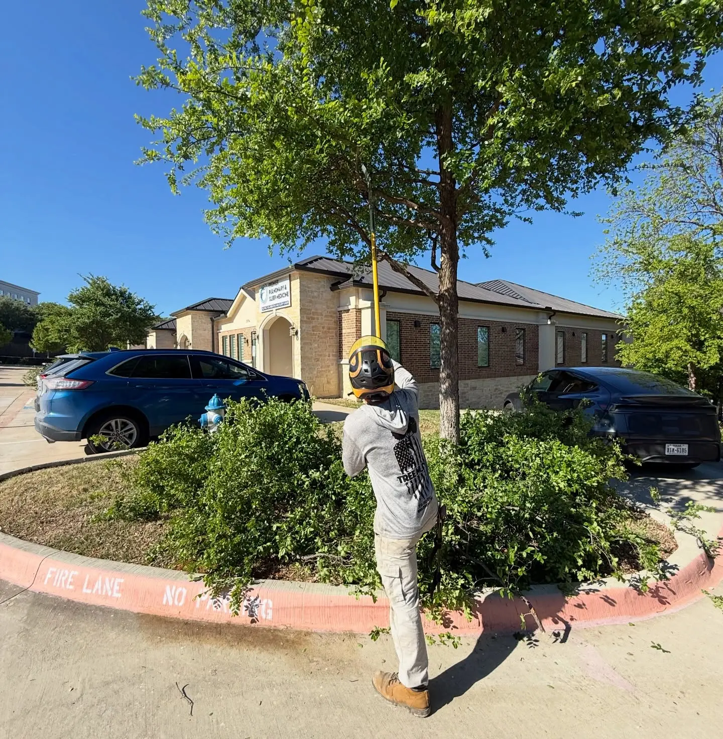 Tree MD's crew member pruning a parking lot island tree along a fire lane at a McKinney, TX commercial property